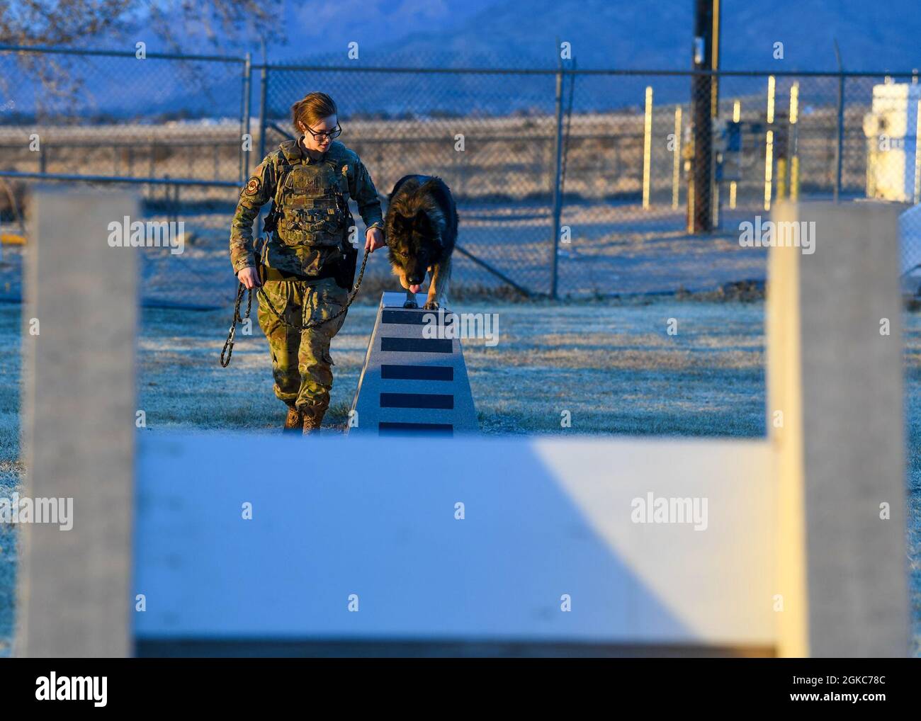U.S. Air Force Staff Sgt. Tara C. Cummins, 377th Security Forces Squadron military working dog (MWD) handler, trains with MWD Hugo on Kirtland Air Force Base, New Mexico, March 9, 2021. Cummins, MWD Hugo’s handler, trains with him each shift to ensure he is mission ready. Stock Photo