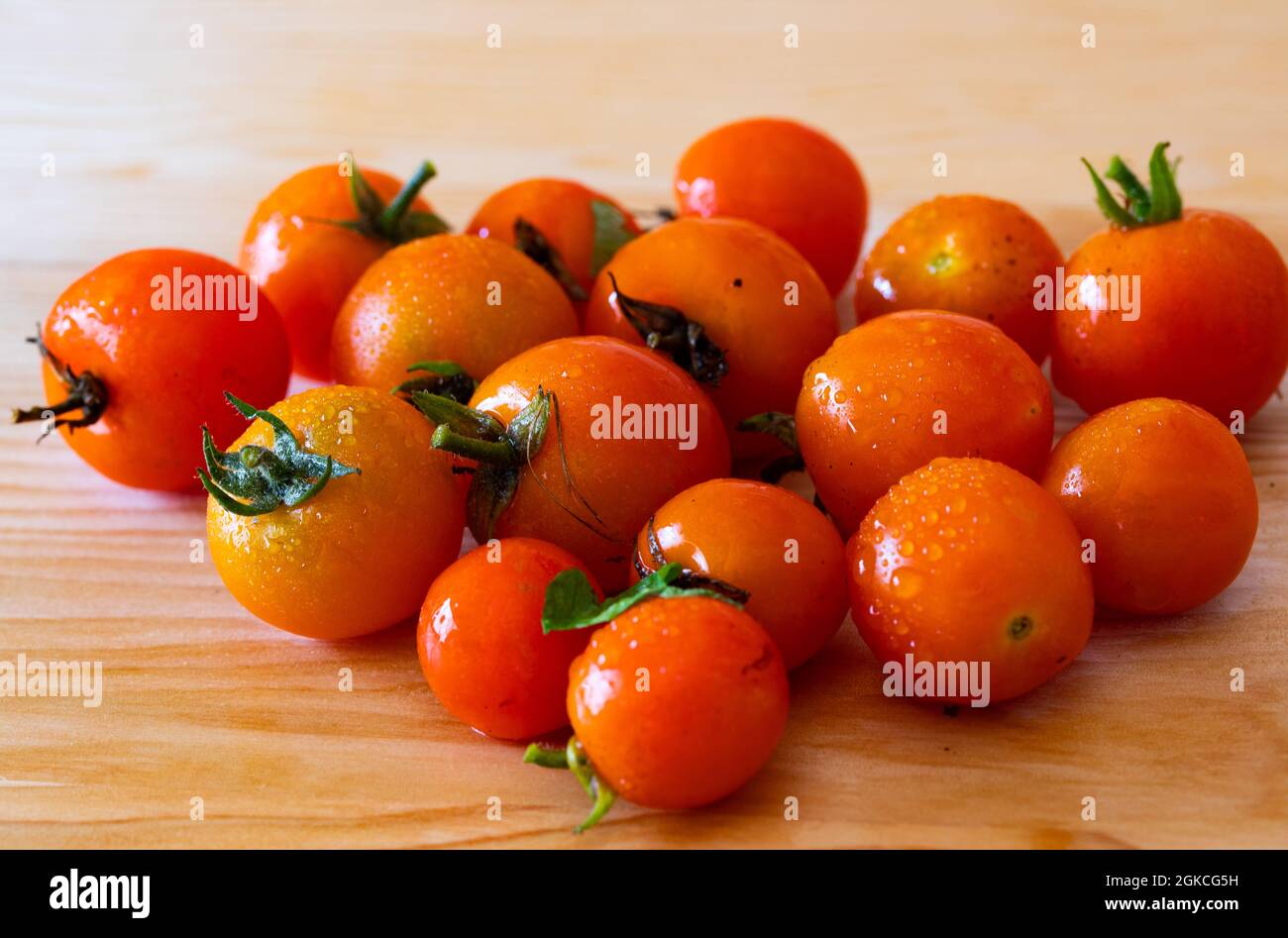 Fresh Tumbling Tom Tomatoes complete with their stalks and small droplets of water on a wooden chopping board Stock Photo