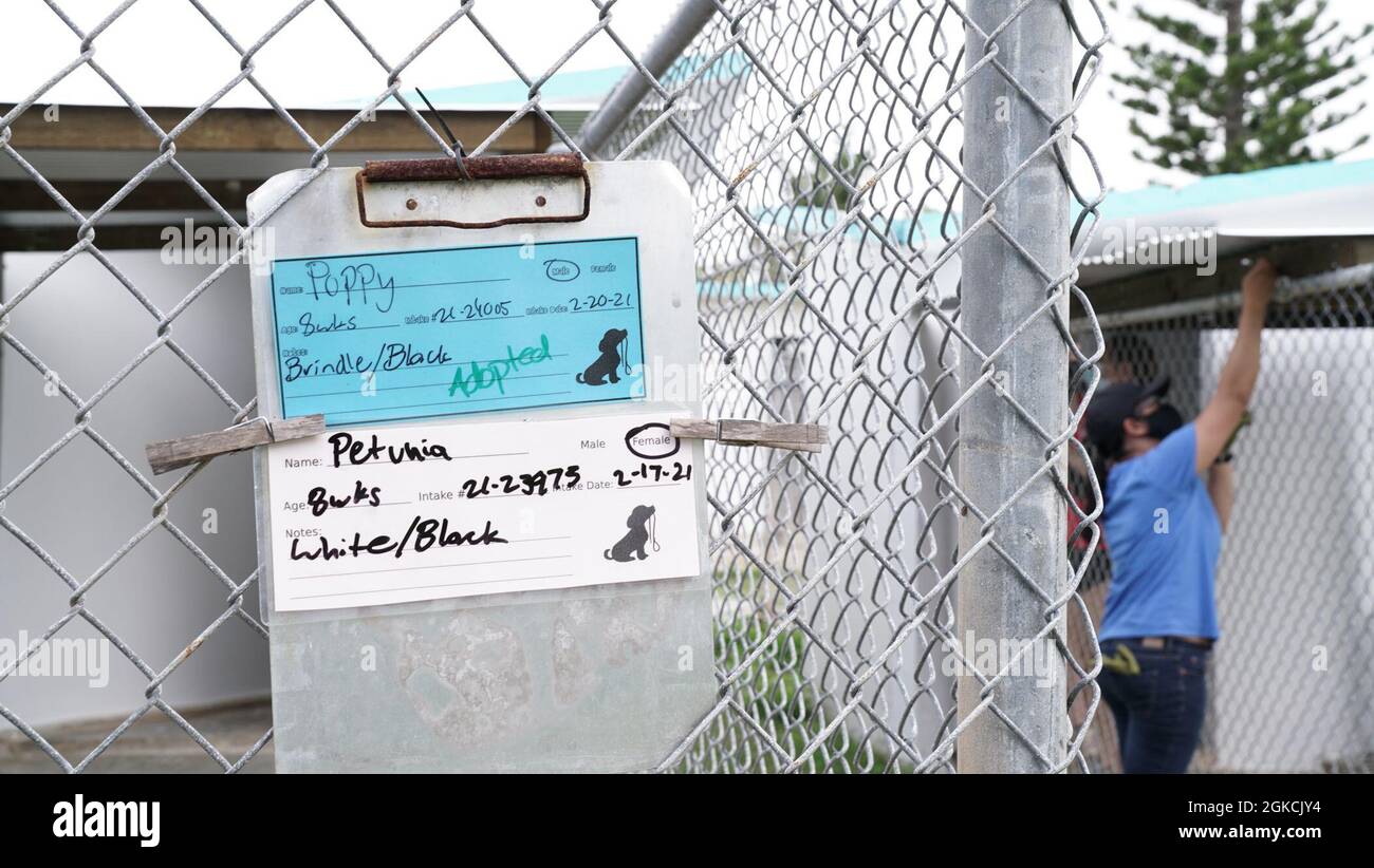 An empty pet shelter displays an adopted sign while Airmen from