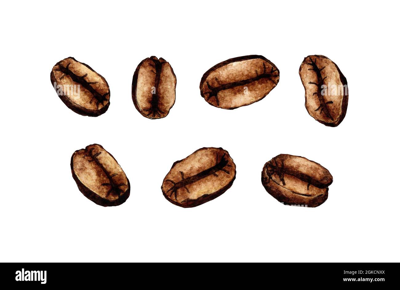 coffee bean clip art