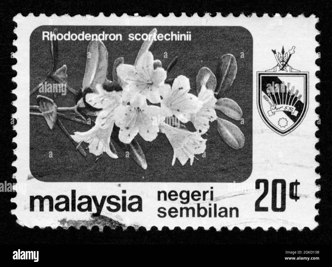 Stamp print in Malaysia,flowers Stock Photo Alamy