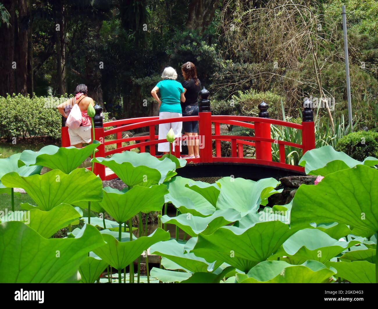 People on small red bridge in Japanese garden, Rio Stock Photo