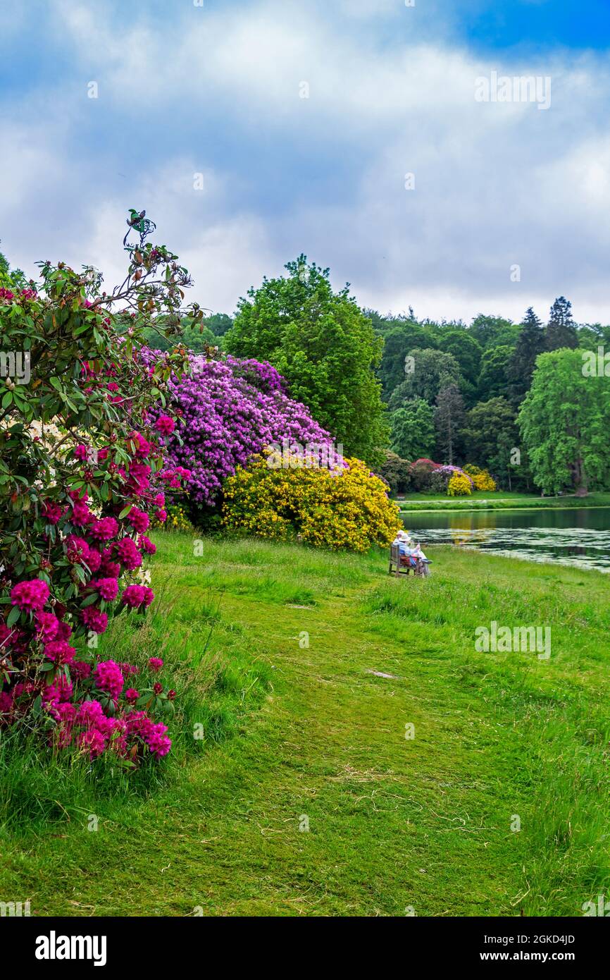 Two elderly visitors admiring the view acros the lake and colourful rhododendrons at Stourhead Gardens, Wiltshire, England, UK Stock Photo