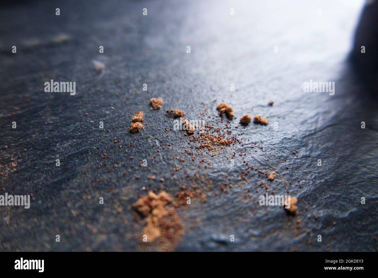 Bore dust, also known as frass, caused by emerging adult woodworm beetles infesting furniture, visible below the infested timber. (127) Stock Photo