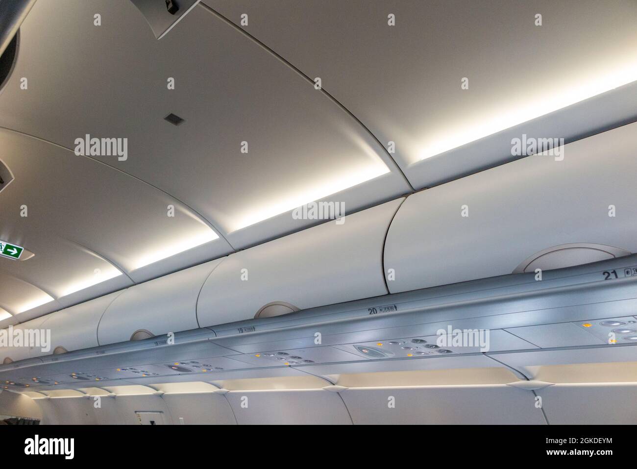 Overhead passenger locker / lockers / compartment / compartments for