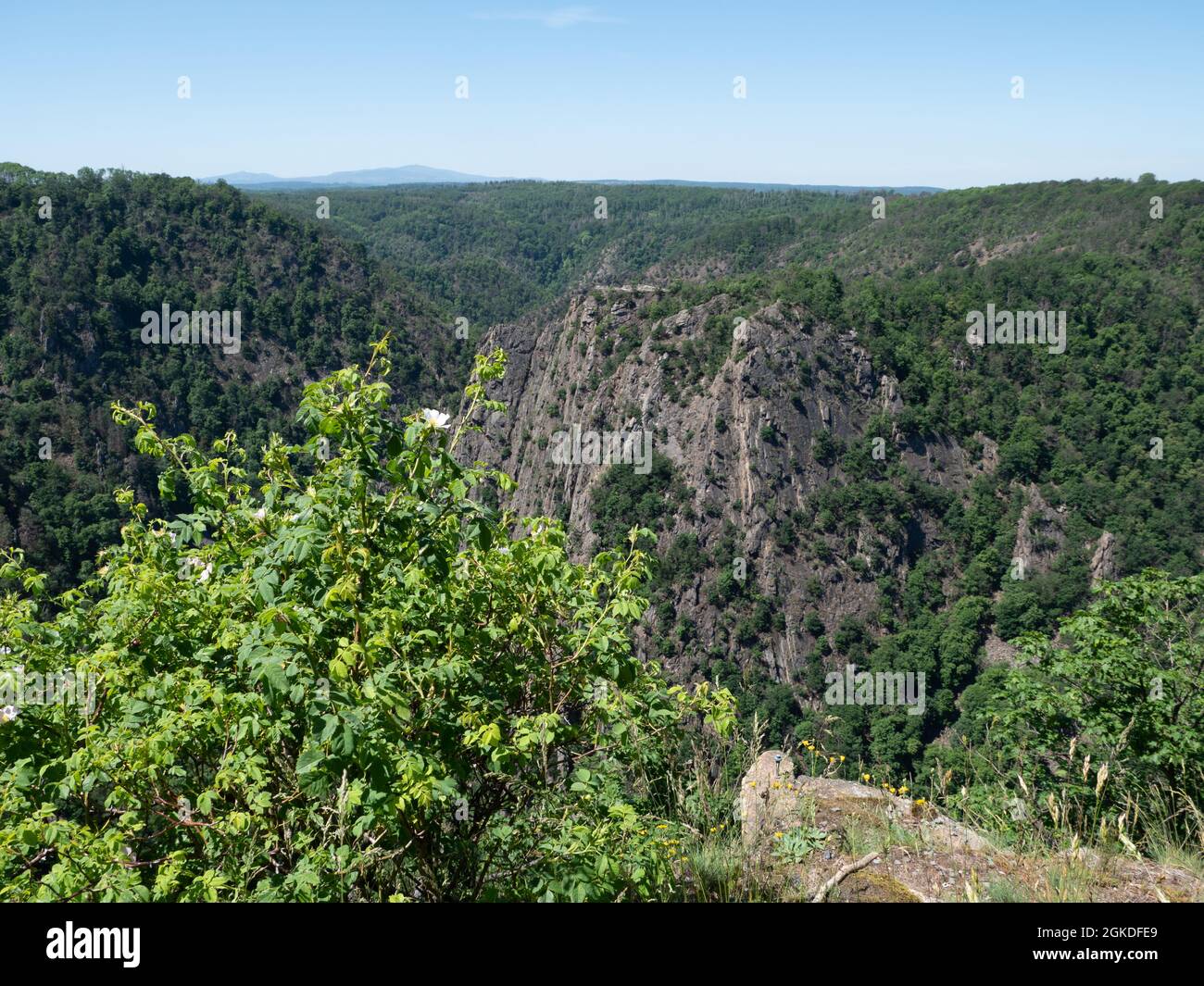 Nature in the Harz Nature Park Stock Photo