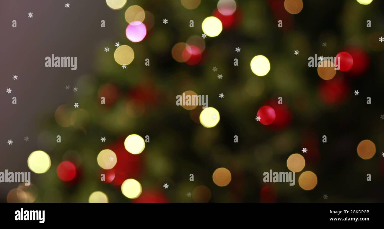 Image of flickering fairy lights on christmas tree in the background
