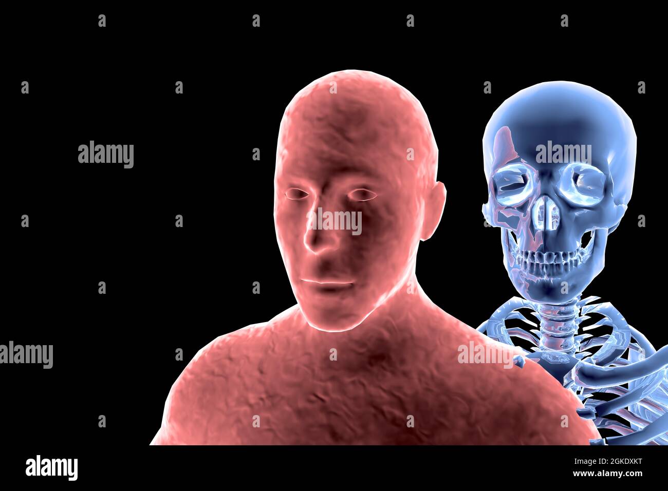CGI-Visualisierung: LMensch, Tod/ cgi visualization: death, life (nur fuer redaktionelle Verwendung. Keine Werbung. Referenzdatenbank: http://www.360- Stock Photo