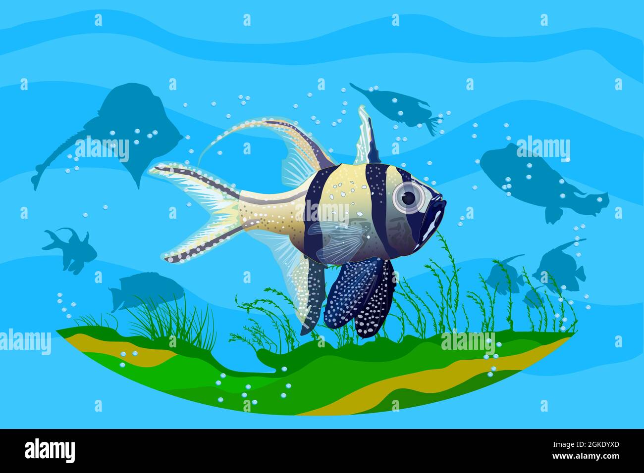 Ocean underwater background with fishes. Deep ocean sea life scene. Save the oceans or sea conservation. Wildlife day vector illustration Stock Vector Image & Art - Alamy Ocean underwater background with fishes. Deep ocean sea life scene. Save the oceans or sea conservation. Wildlife day vector illustration Stock Vector Image & Art - Alamy