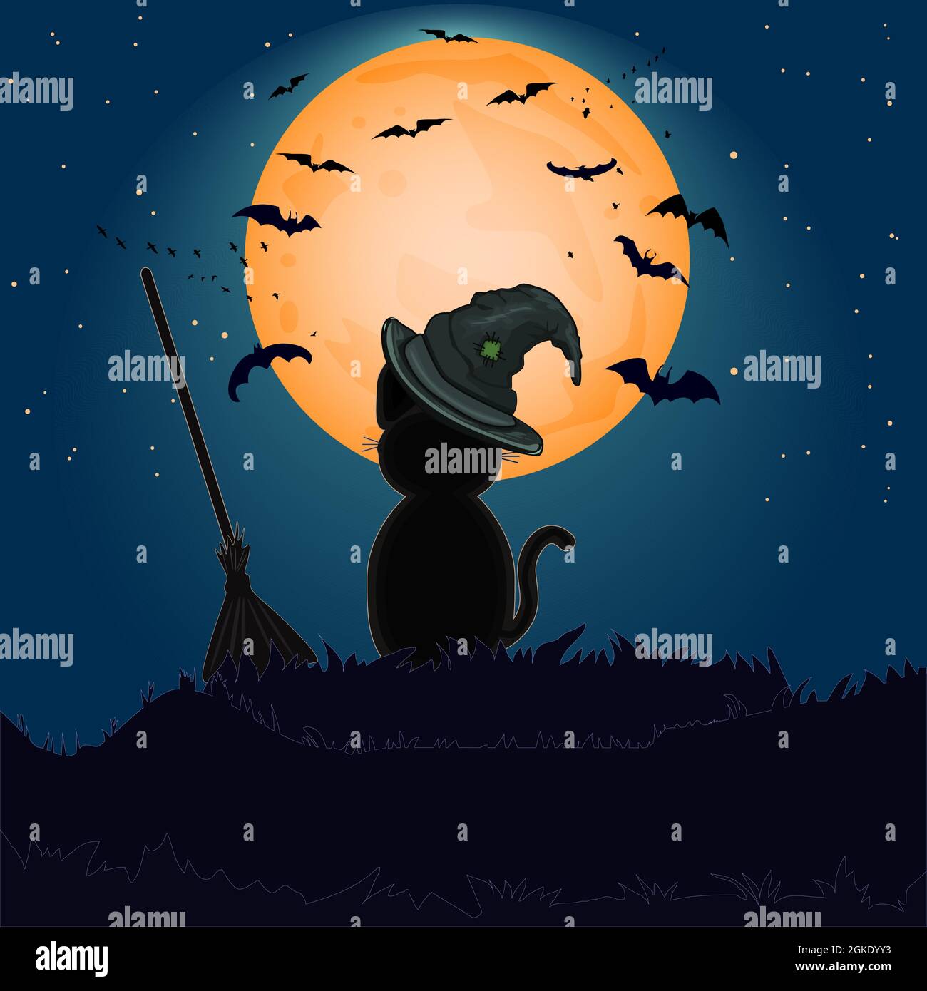 Halloween black cat with witch hat before full moon on hill.Halloween ...