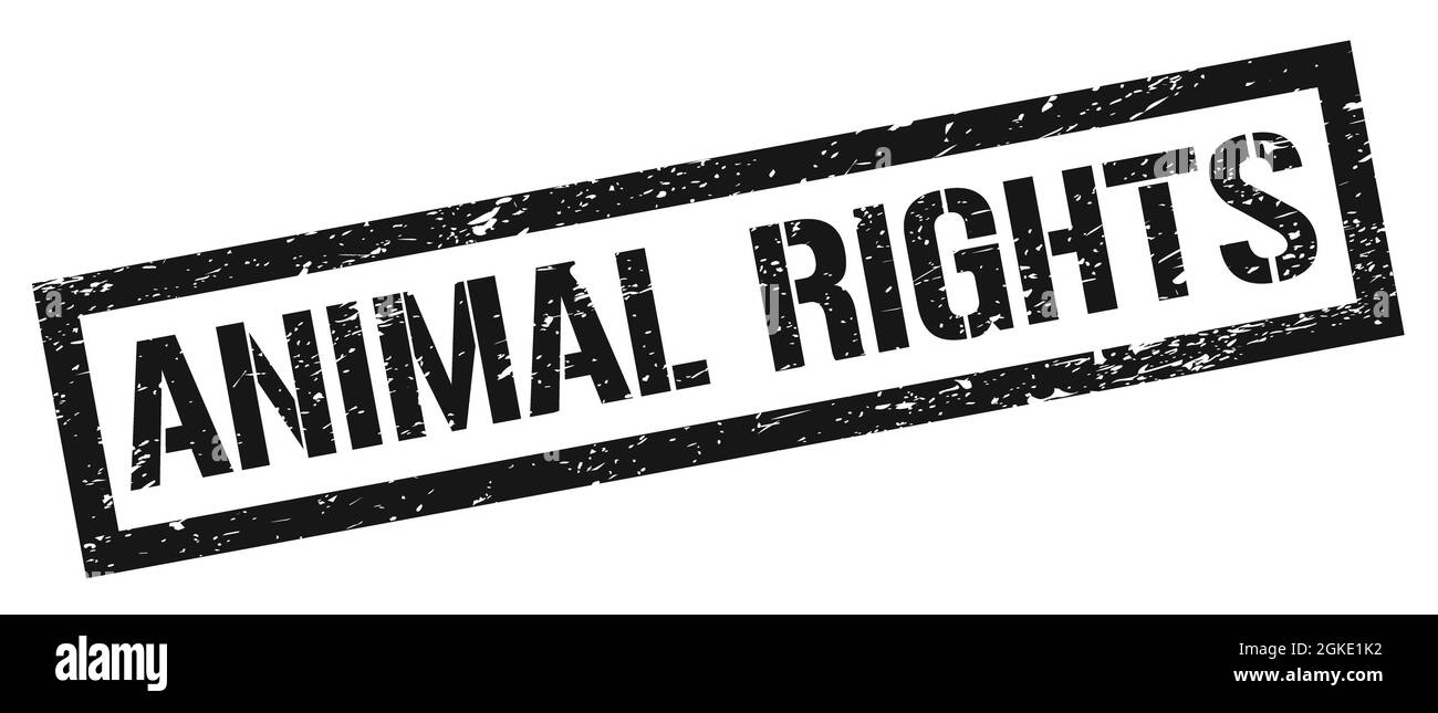 ANIMAL RIGHTS black grungy rectangle stamp sign Stock Photo Alamy