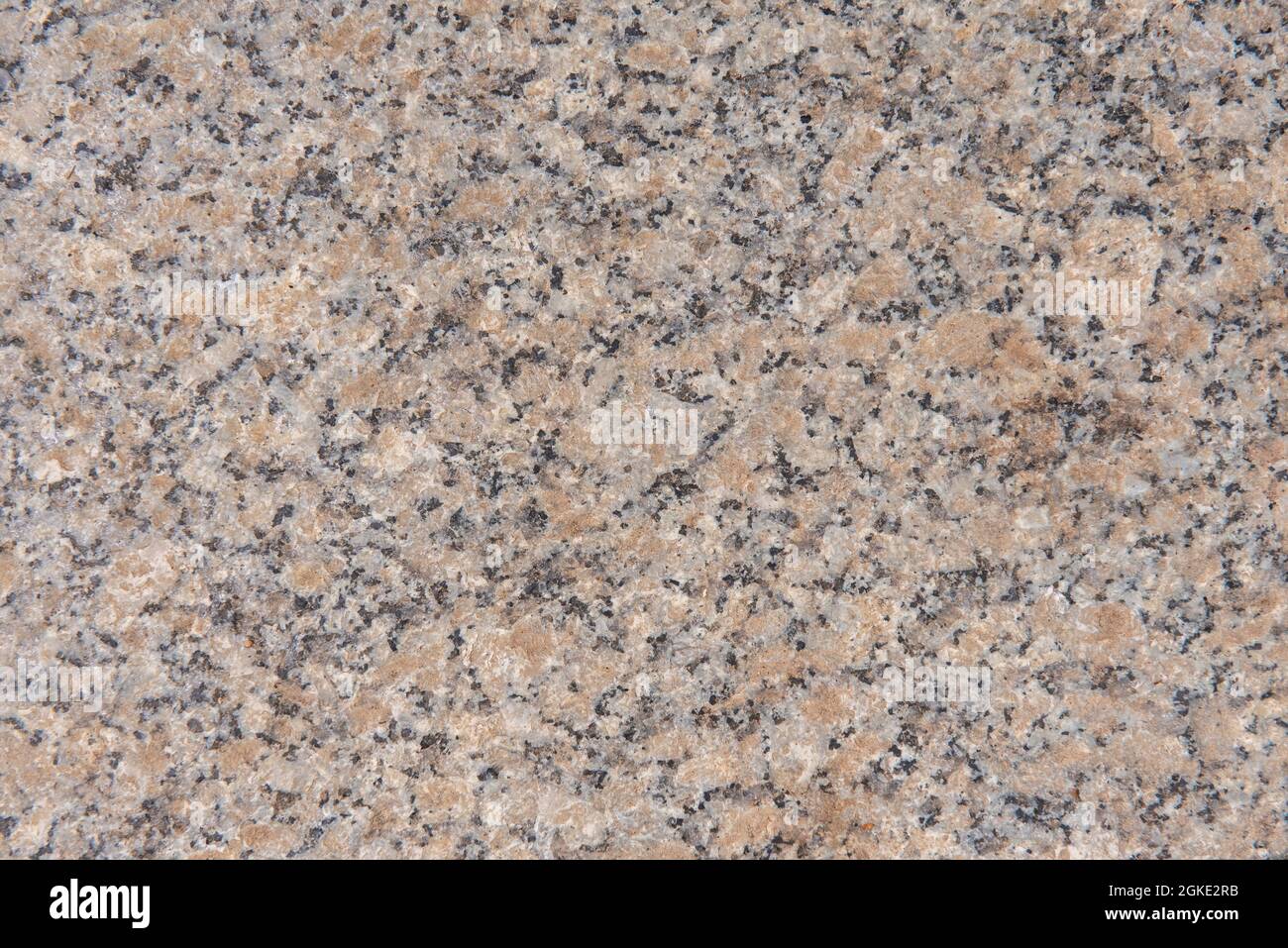 Porriño type granite table top. Vector granite stone texture background