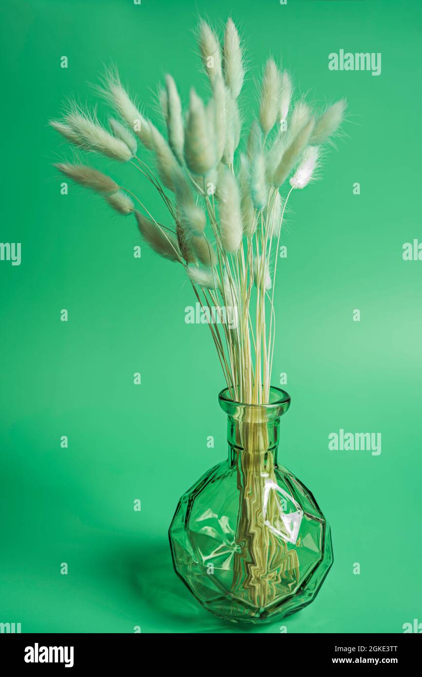 Decorative green glass vase with dried plants and green background
