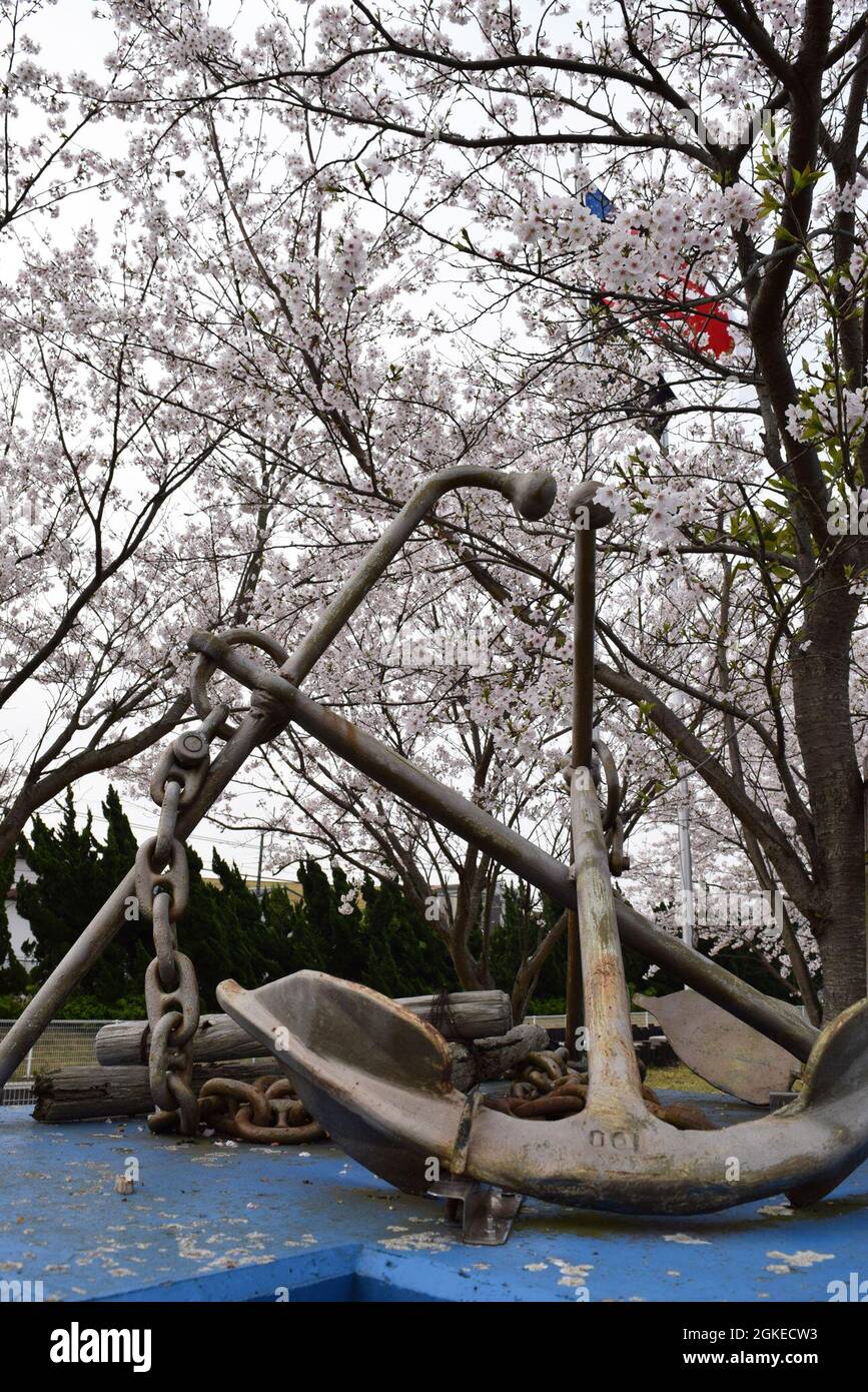 210330-N-UI568-0063  ZUSHI, Japan (March 30, 2021) — Crossed anchors sit near the base of the flag pole at the Ikego Housing Detachment, a satellite housing area for Commander, Fleet Activities Yokosuka. Many of the cherry trees onboard Ikego were donated by the Zushi Junior Chamber of Commerce in 2003 as a symbol of the friendship between Ikego and the Zushi communities. For more than 75 years, CFAY has provided, maintained, and operated base facilities and services in support of the U.S. 7th Fleet’s forward-deployed naval forces, tenant commands, and thousands of military and civilian person Stock Photo