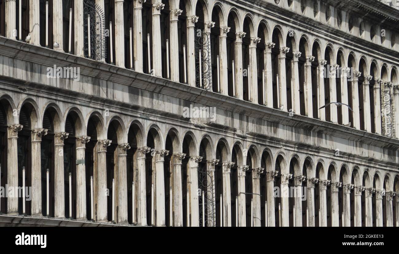 A synthesis of many vertical lines in parallel lines with perspective ...
