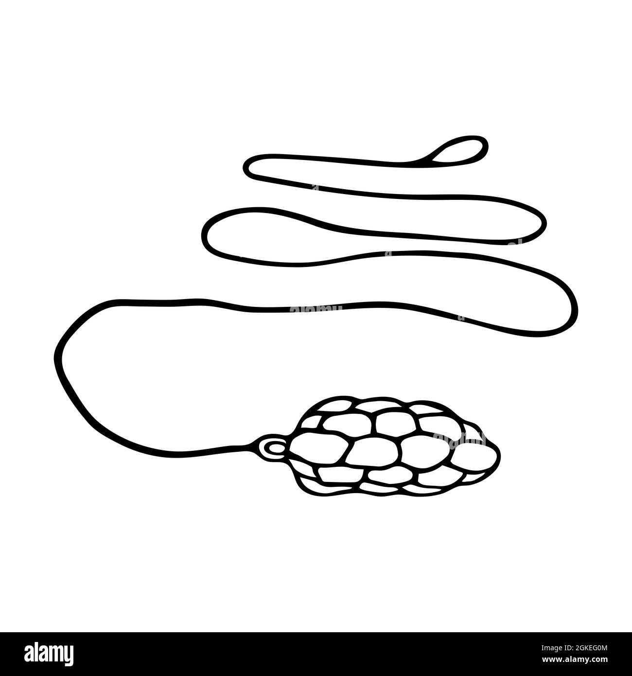 Hand drawn doodle style Rope Dart in vector. Stock Vector