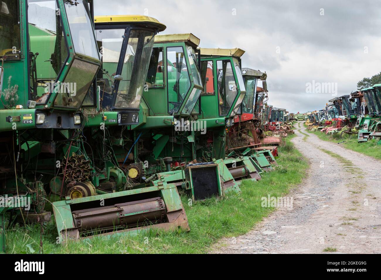 Combine harvester reclamation yard, Battle Bridge Farm, Alnwick, Northumberland, UK Stock Photo