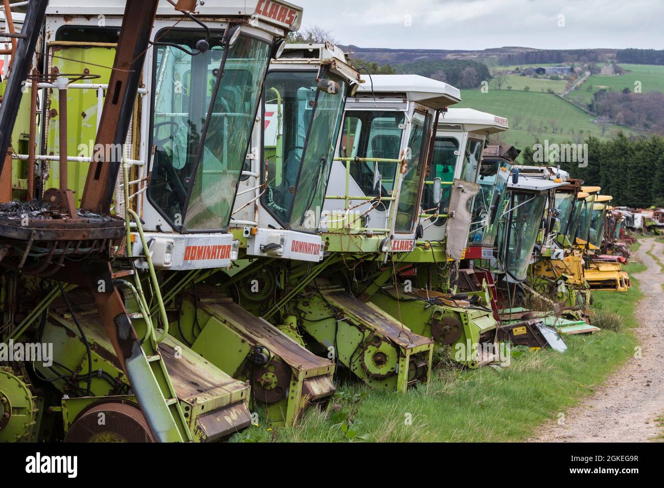 Combine harvester reclamation yard, Battle Bridge Farm, Alnwick, Northumberland, UK Stock Photo