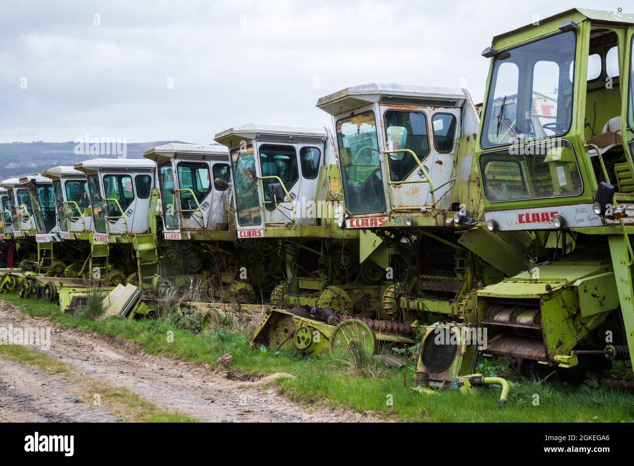 Combine harvester reclamation yard, Battle Bridge Farm, Alnwick, Northumberland, UK Stock Photo