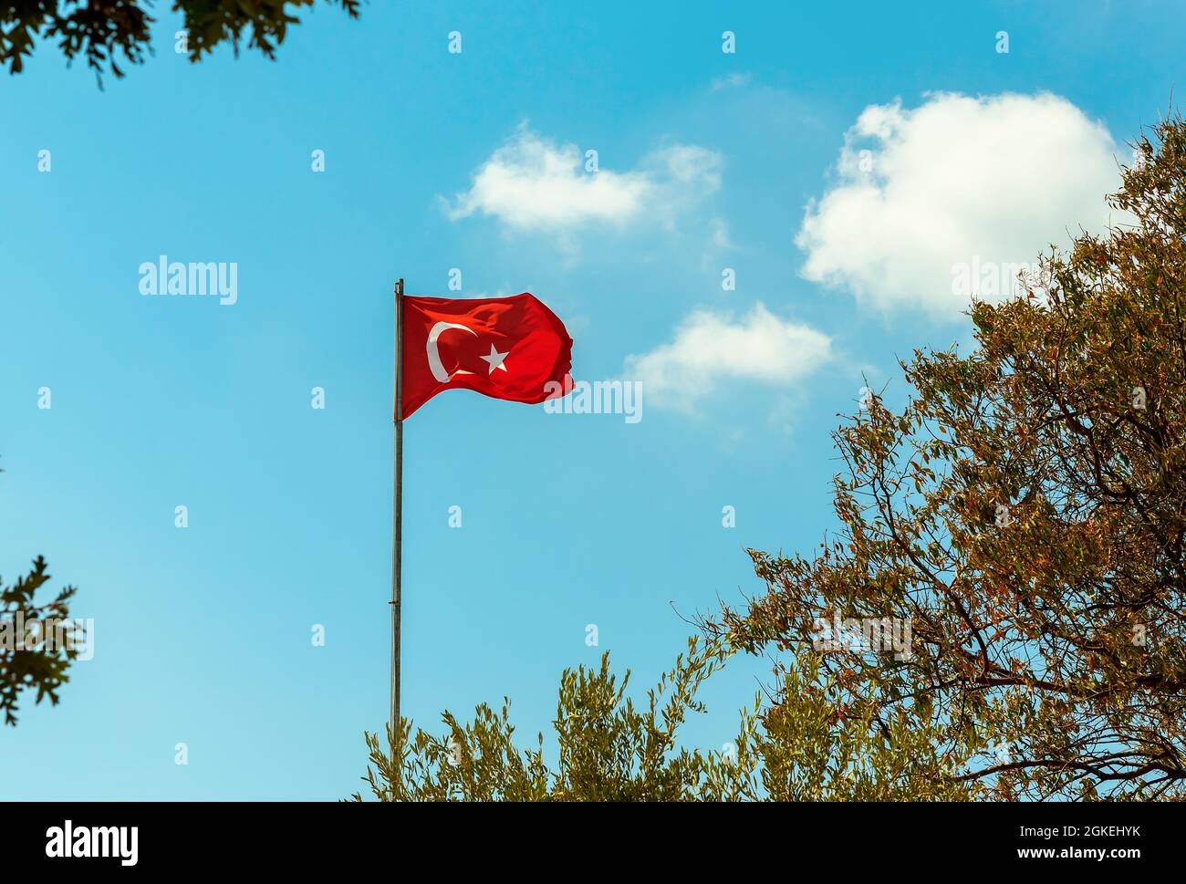 Flag of Turkey waving against a background of blue sky and tree branches Stock Photo