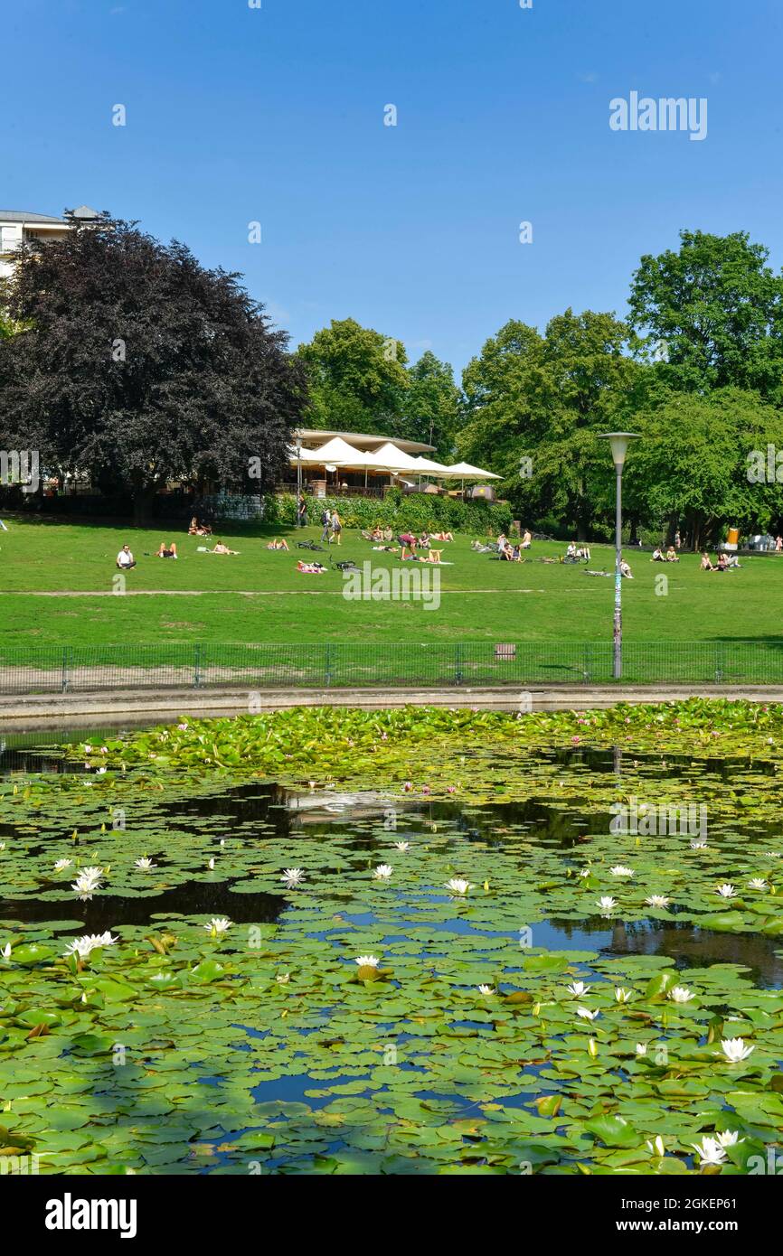 Weinbergspark with water lily pond and Nola's restaurant, Mitte, Berlin, Germany Stock Photo