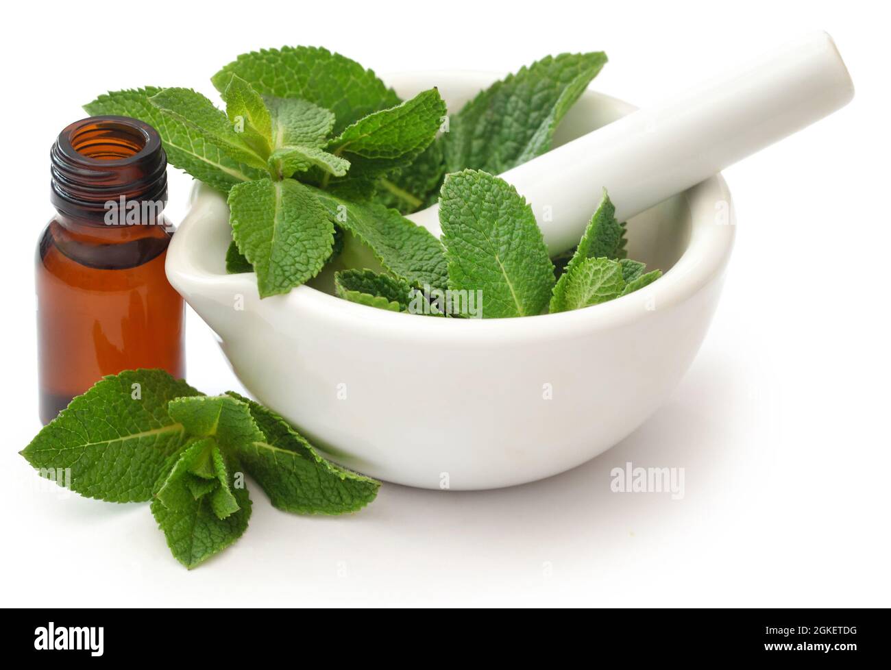 Mint leaves with essential oil in a bottle over white background Stock Photo