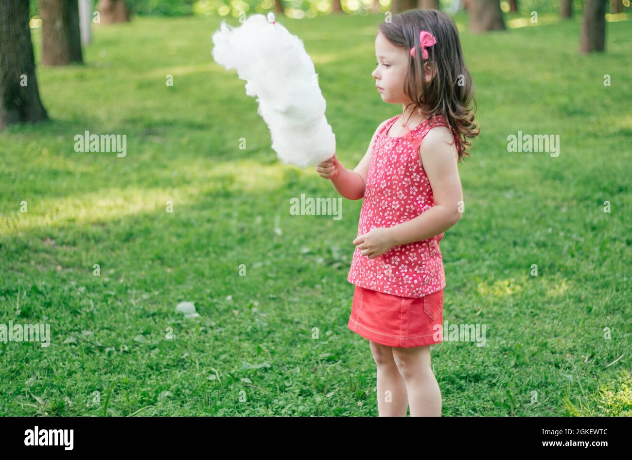 Little cute girl 34 eating cotton candy in sunny park among tall trees on green grass Stock