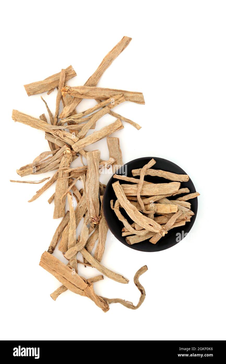 Stellaria root chickweed herb used in traditional Chinese herbal