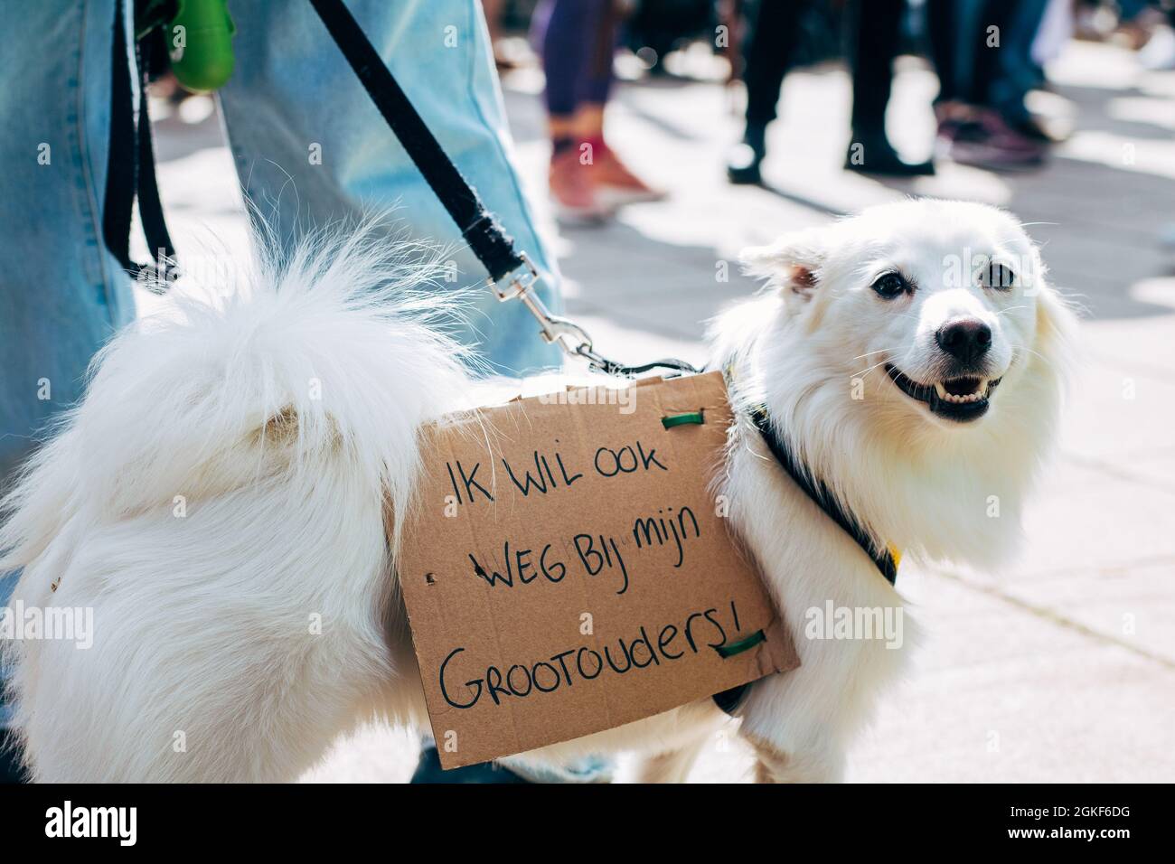 Amsterdam, The Netherlands 12 September 2021 Woonprotest