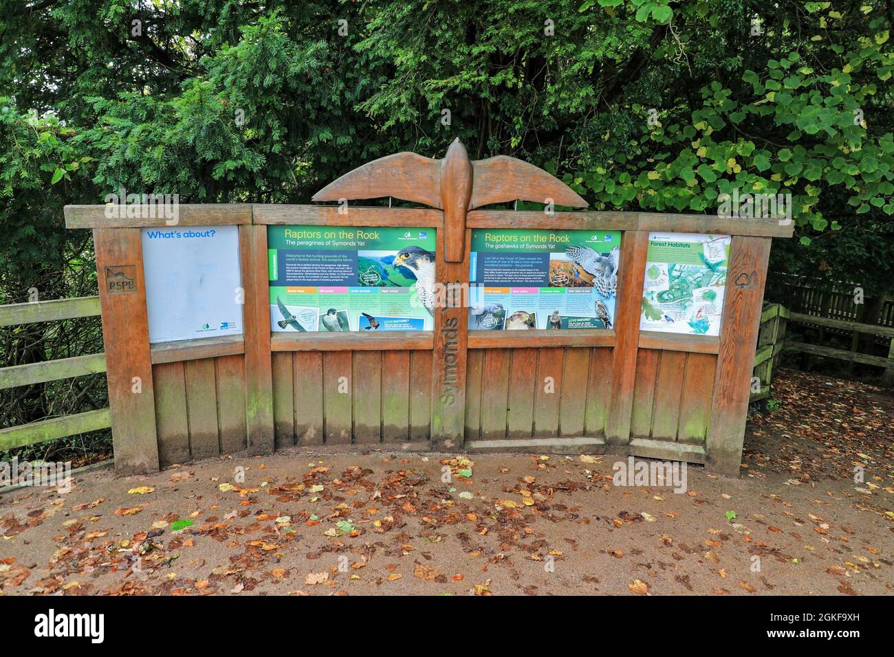 An RSPB (Royal Society for the protection of Birds) information board at Symonds Yat, Gloucestershire, England, UK Stock Photo