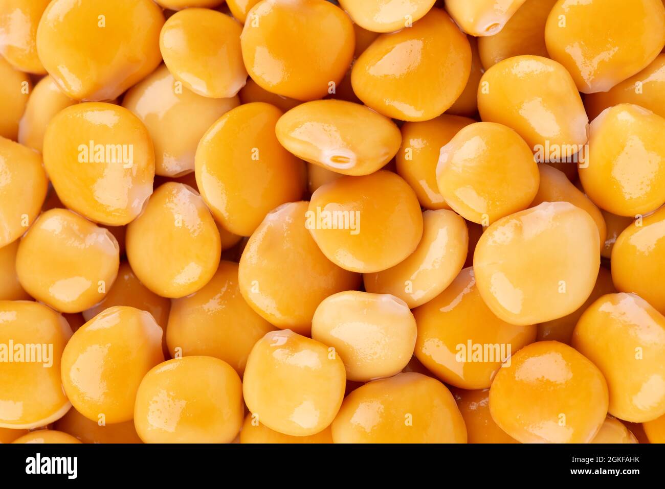 Pickled yellow lupine beans background. Tournus, preserved lupinus