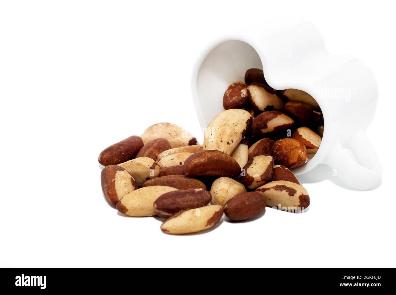 Brazil nut on a white background closeup. Nuts in a cup in the shape