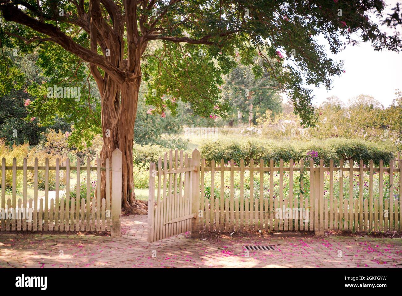 Picket fence gate hi-res stock photography and images - Alamy