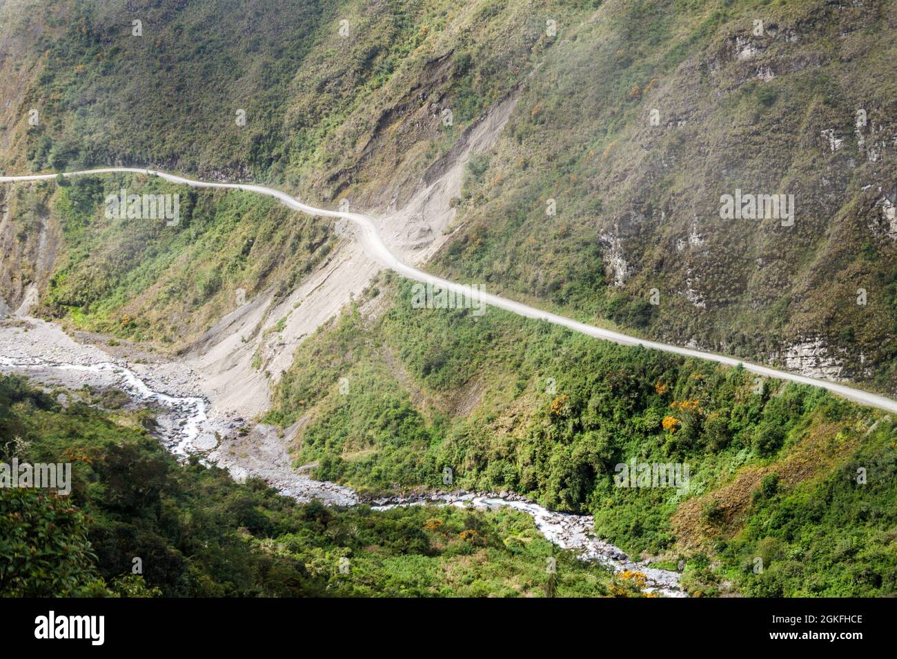 Yungas Bolivia National Park Hi res Stock Photography And Images Alamy yungas-bolivia-national-park-hi-res-stock-photography-and-images-alamy