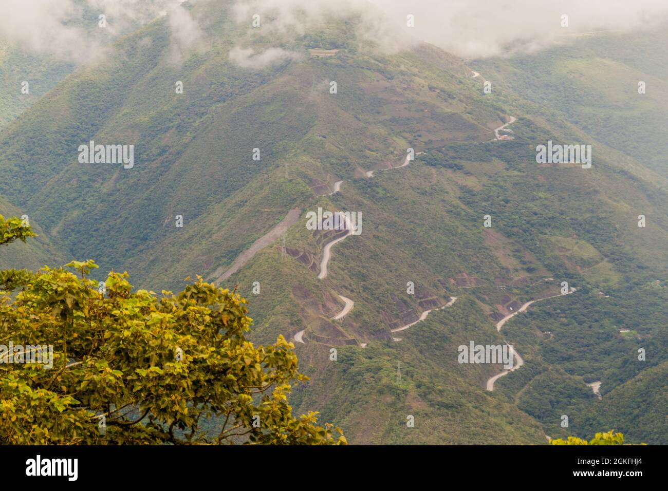 The Yungas Of Bolivia Hi res Stock Photography And Images Alamy the-yungas-of-bolivia-hi-res-stock-photography-and-images-alamy