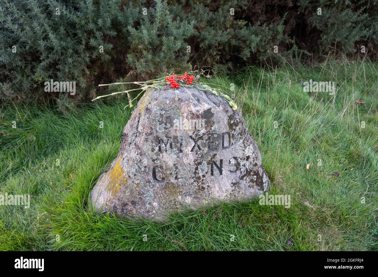 Culloden battlefield in Scotland. Isolated headstone for Mixed Clans with background of grass and other greenery. Stock Photo