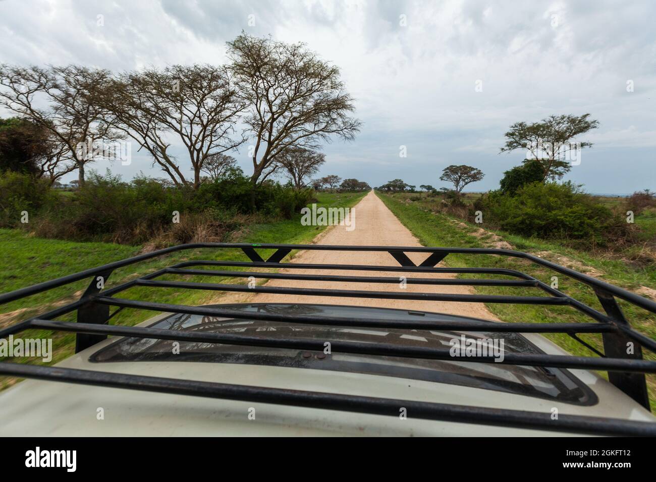 View of african savanna from the rooftop of a safari jeep. Queen Elizabeth National Park, Uganda Stock Photo