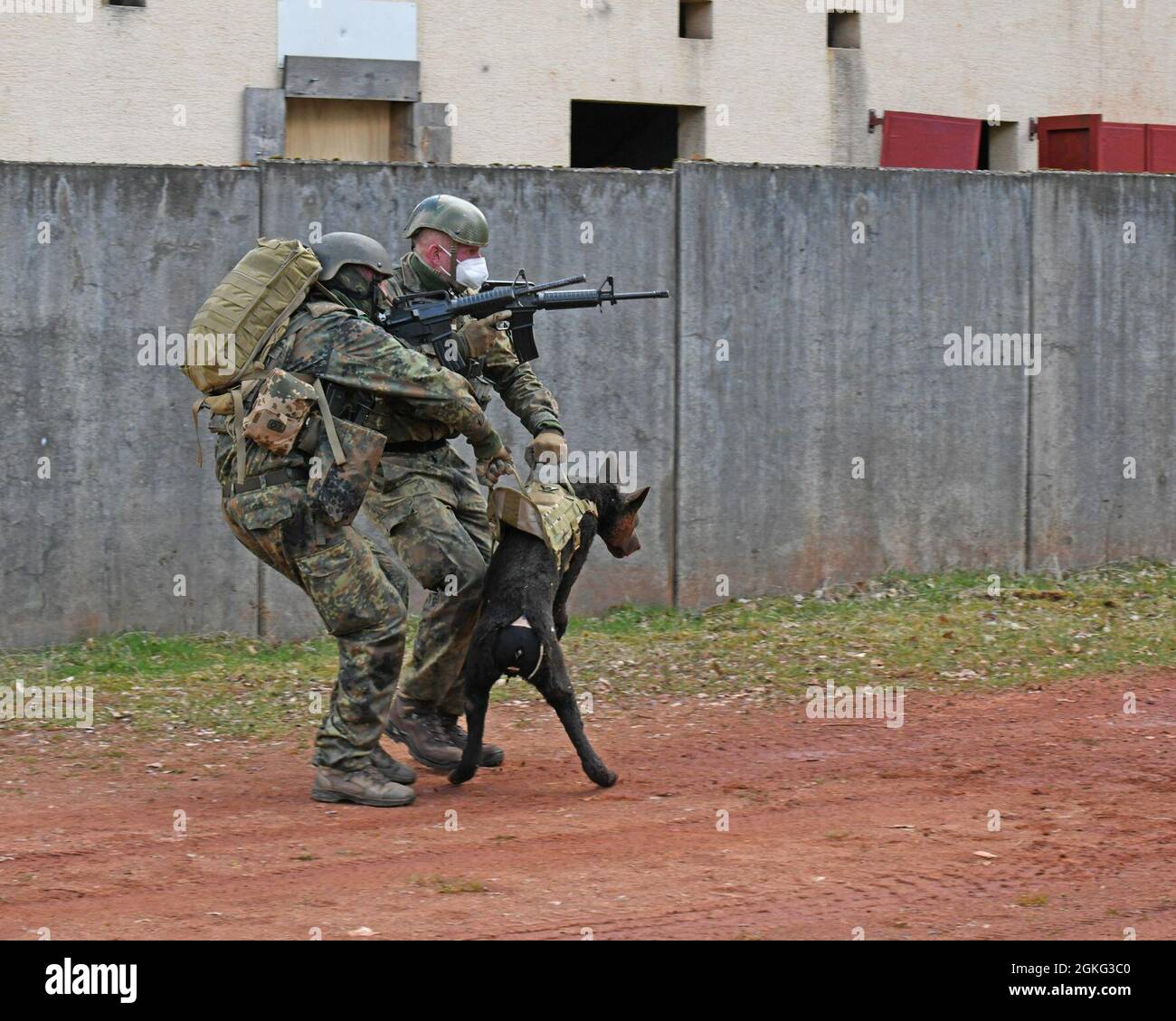 German (Bundeswehr) Soldiers respond to a simulated wounded Military Working dog during a K-9 Tactical Combat Casualty Care Short Course in Baumholder, Germany April 13, 2021 . The 64th MED DET hosted a three day course that taught handlers and medics MWD life saving techniques and procedures. Stock Photo