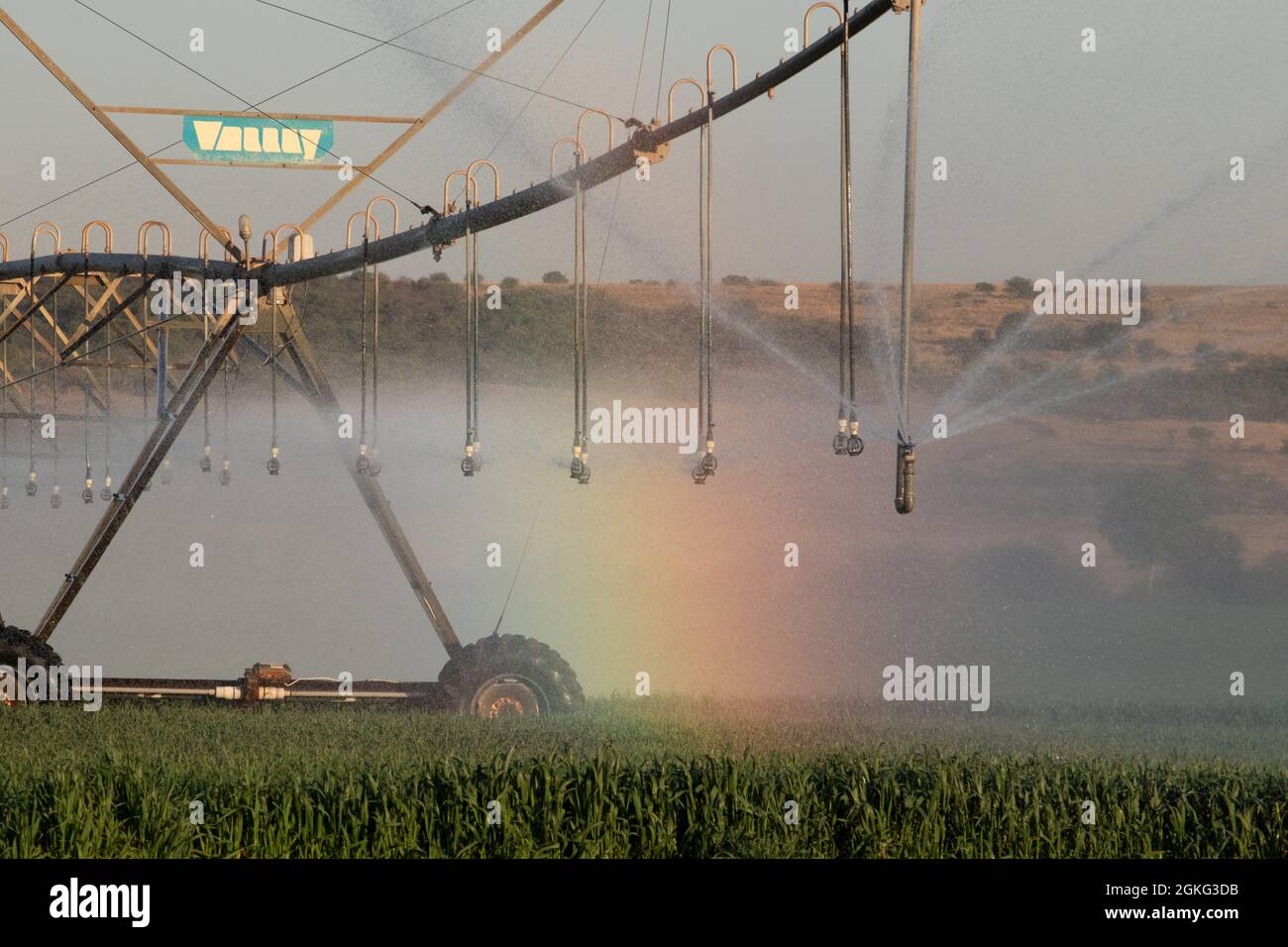 An irrigation pivot watering a field of crops in South Africa Stock