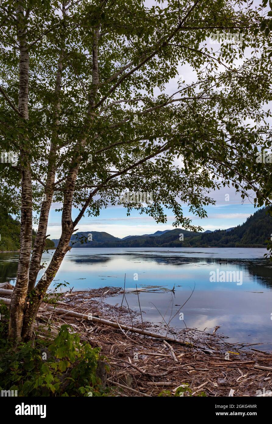 View of Holberg Inlet, the western arm of Quatsino Sound, Northern Vancouver Island, BC, Canada Stock Photo