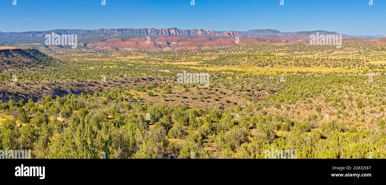 A panorama view of the Upper Verde River Watershed in the Prescott National Forest in Arizona near Perkinsville. The red rocks in the background is th Stock Photo