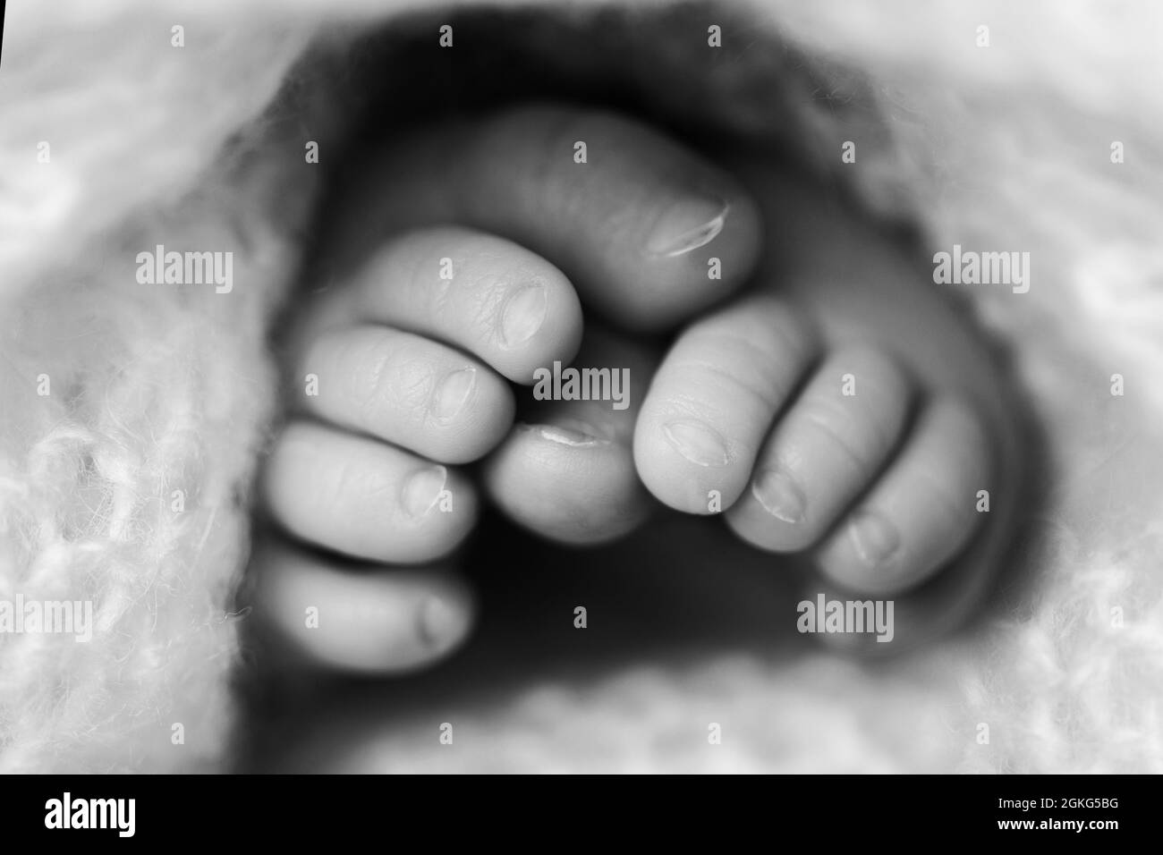 Baby feet covered with wool isolated background. The tiny foot of a