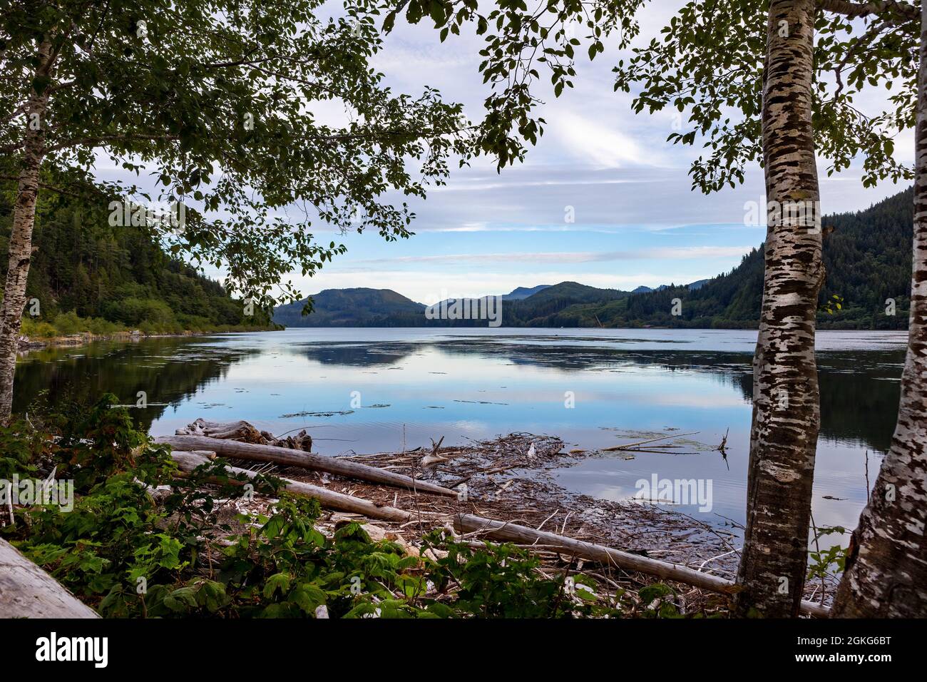 View of Holberg Inlet, the western arm of Quatsino Sound, Northern
