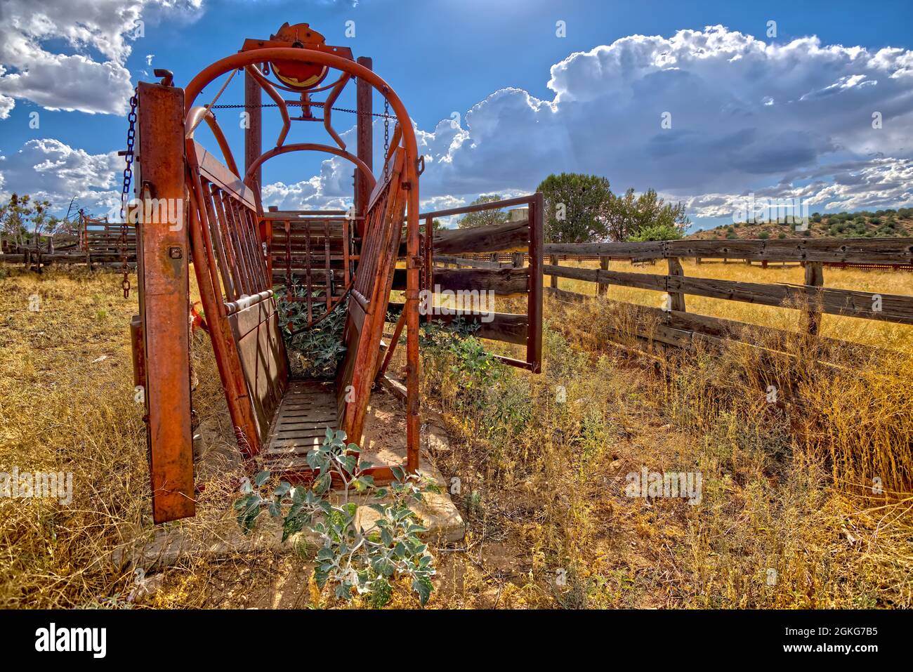 A device for restraining cows at a forgotten cattle corral in the Prescott National Forest east of Paulden Arizona. The area is publicly accessible fe Stock Photo