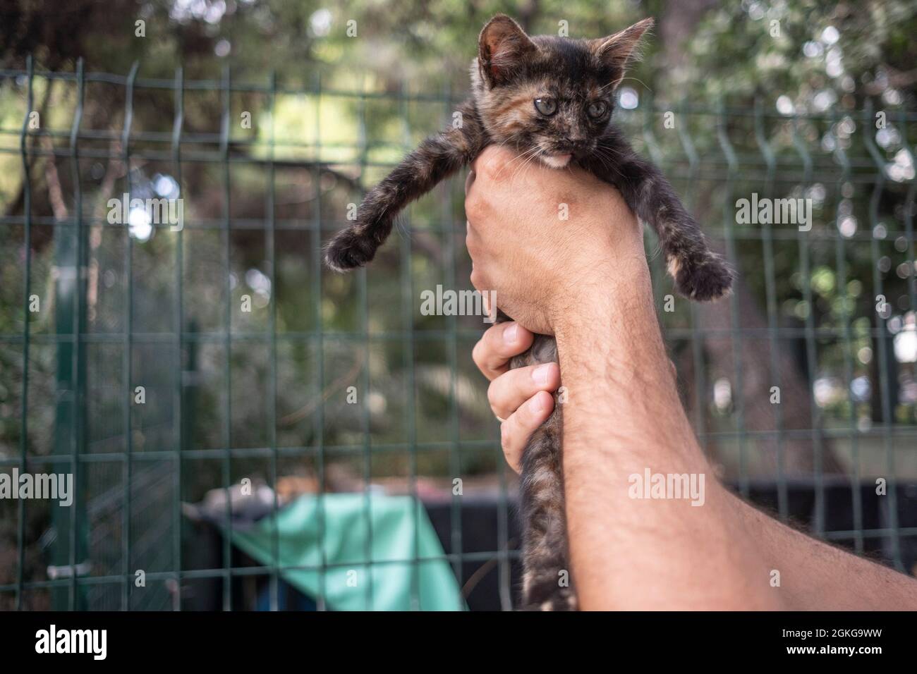 Animateur Banque D Images Vectorielles Alamy