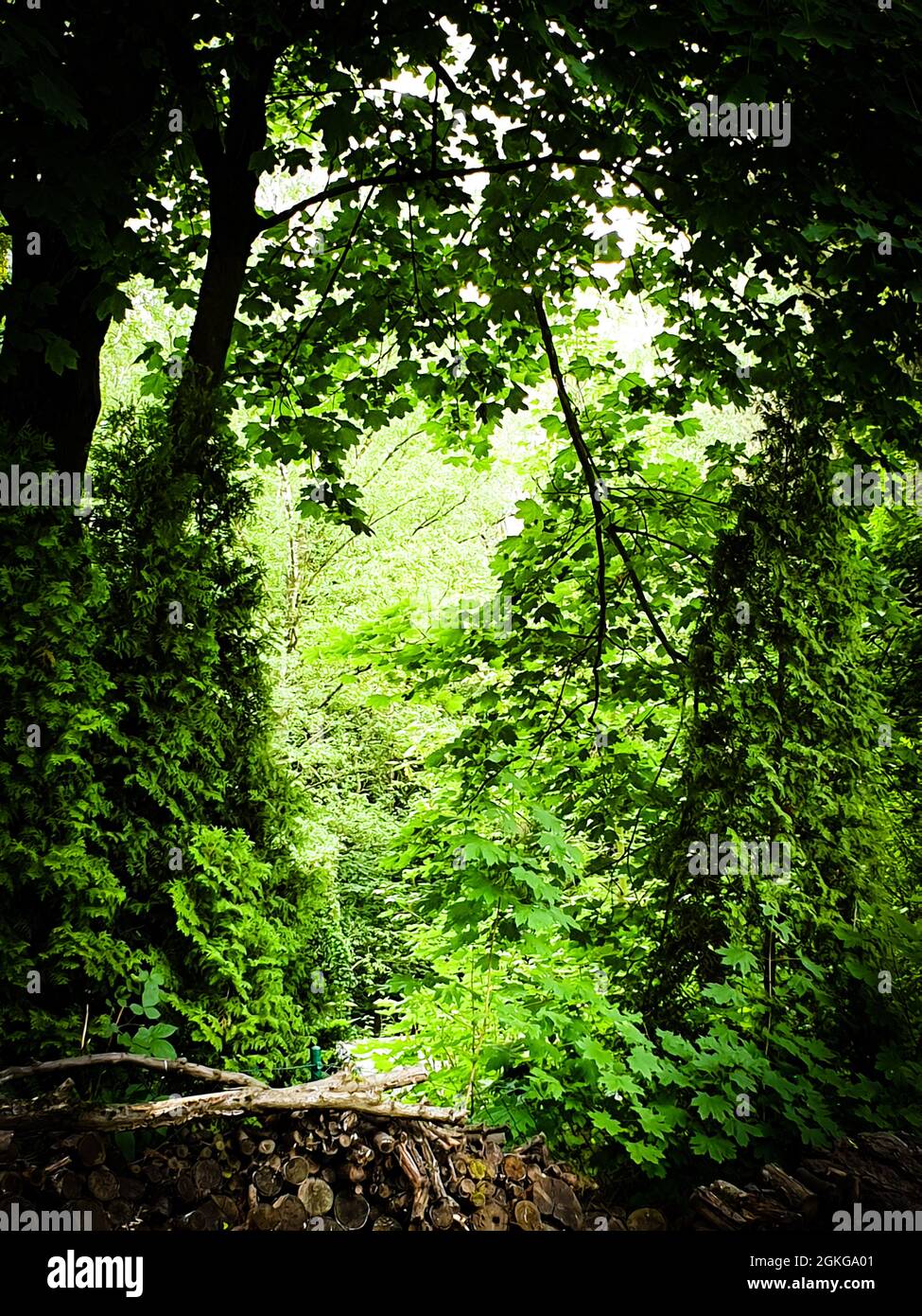 Traumhaft schöner Garten Stock Photo