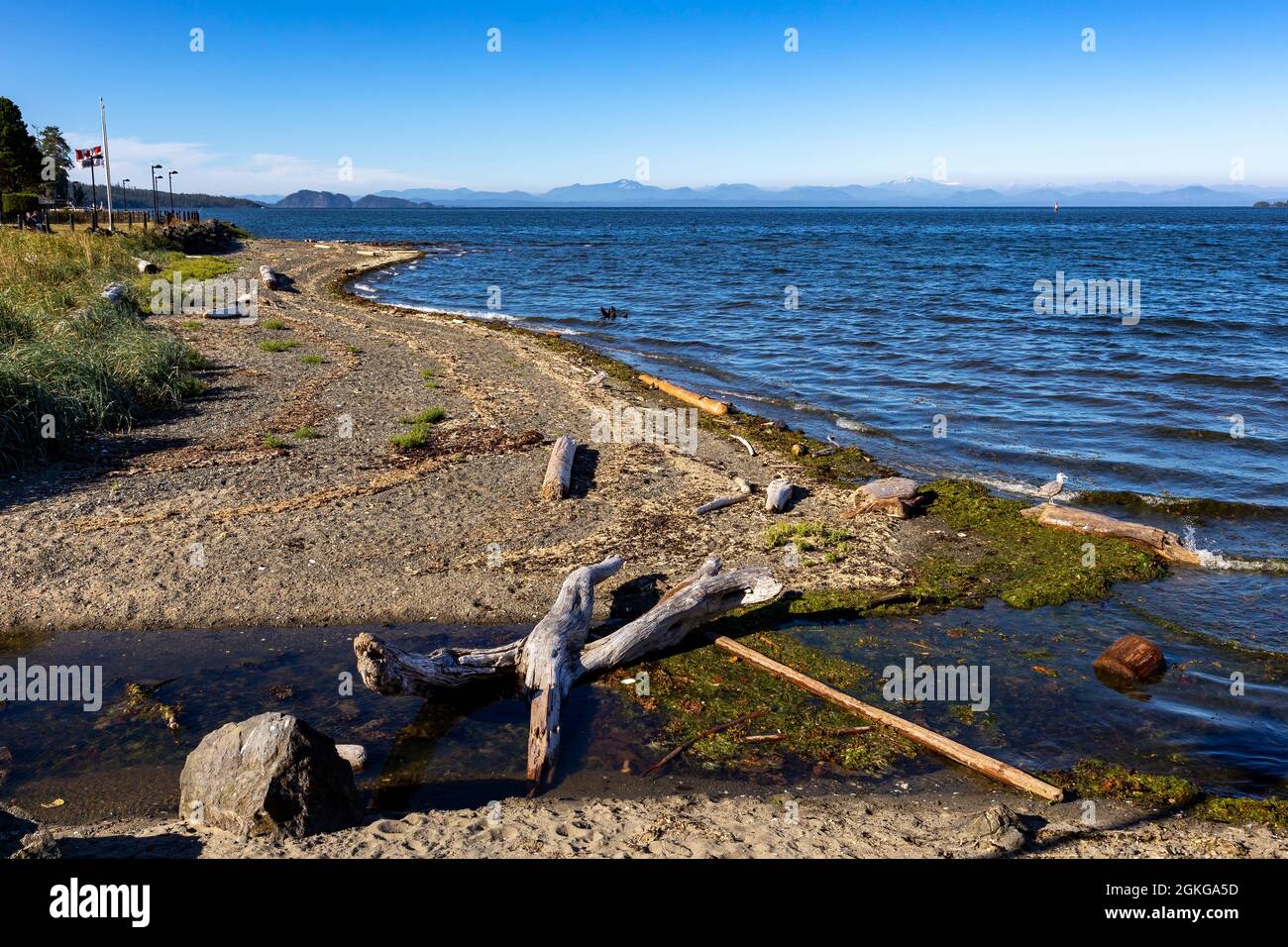 Port Hardy Bay, Port Hardy, Vancouver Island Stock Photo Alamy