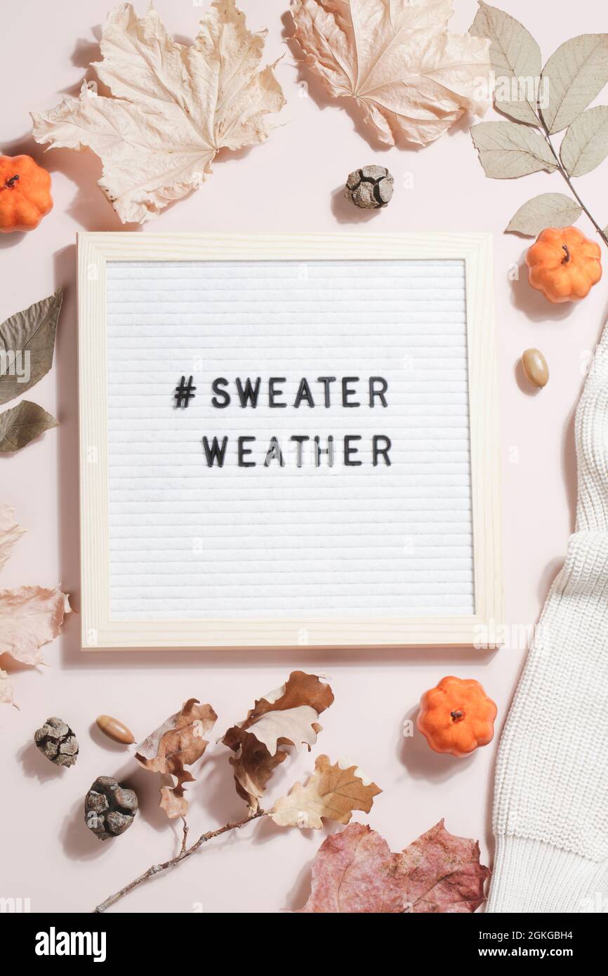 felt letter board and text sweater weather with leaves, pumpkins and sweater  on beige background. Autumn concept. flat lay top view Stock Photo - Alamy