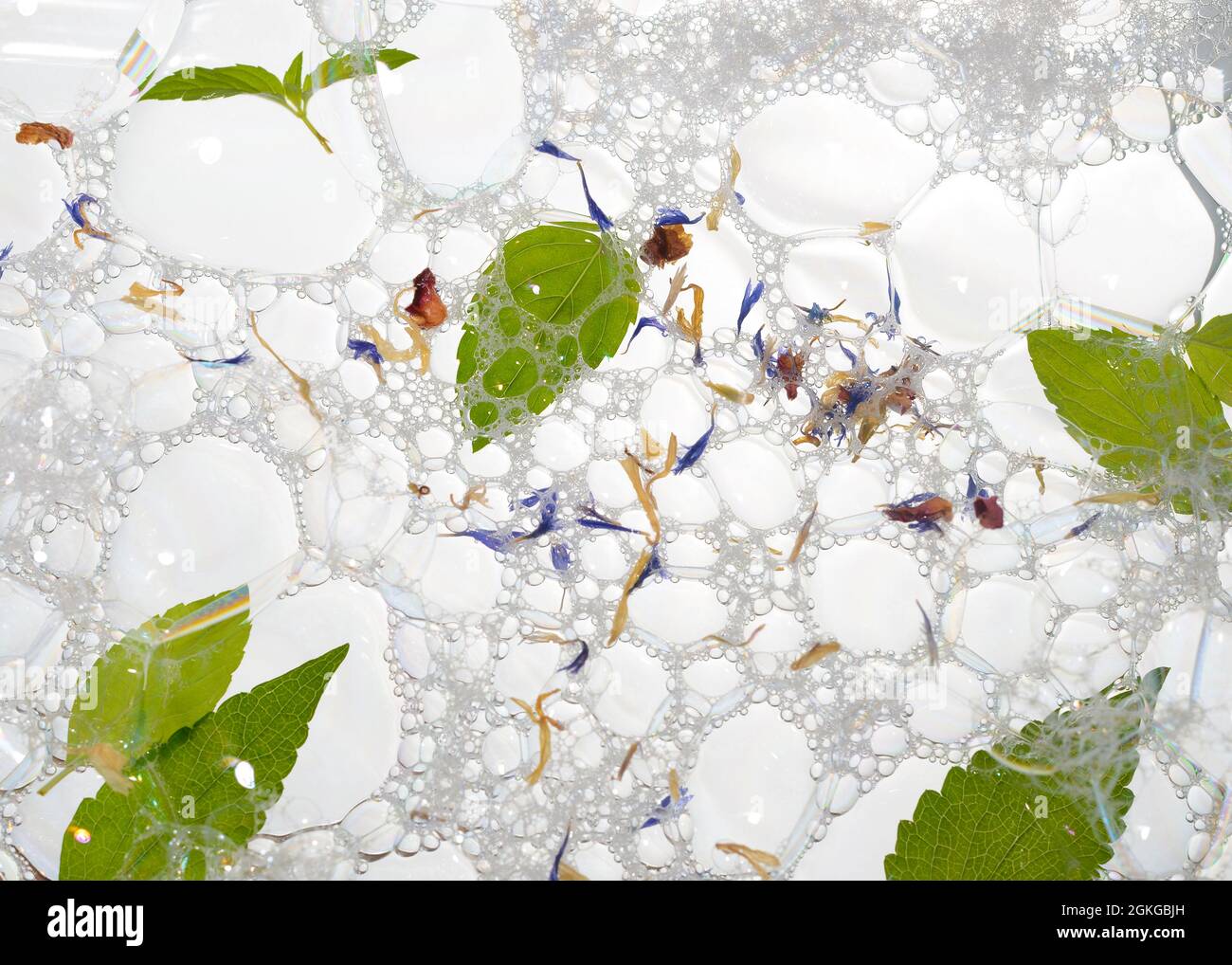 Mint leaves on soap foam background. Flat lay, top view. Stock Photo