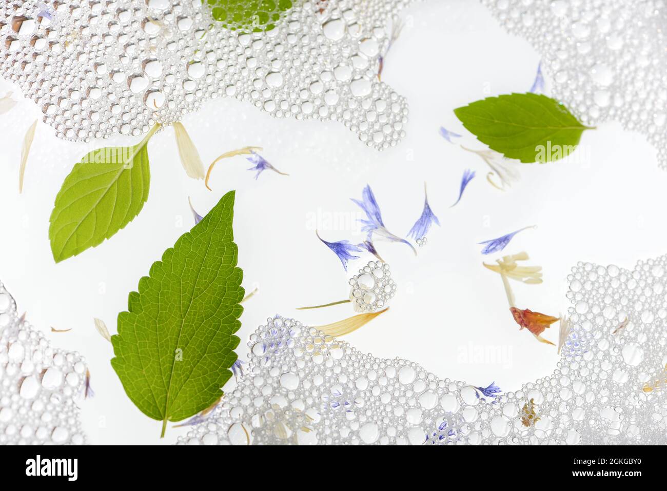 Mint leaves on soap foam background. Flat lay, top view. Stock Photo